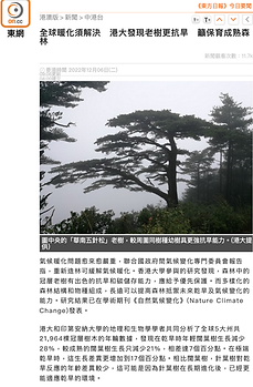 Screenshot 2025-04-06 at 4.19.22 PM.png