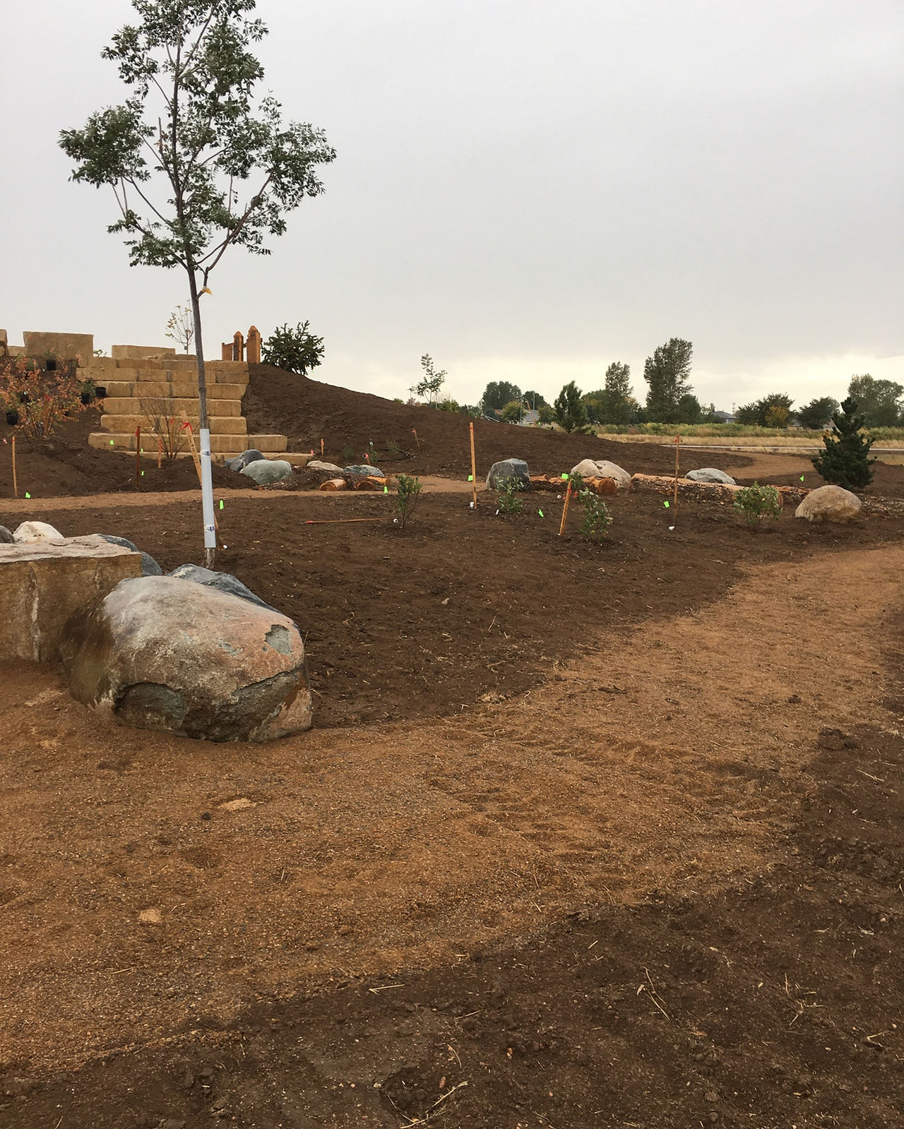 East Greeley Park Planting.jpg