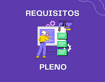 251/254 Analista de Requisitos - Pleno