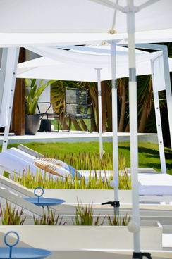 Sunbeds at the pool