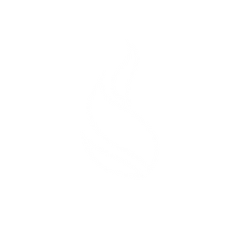 White Icon (1).png