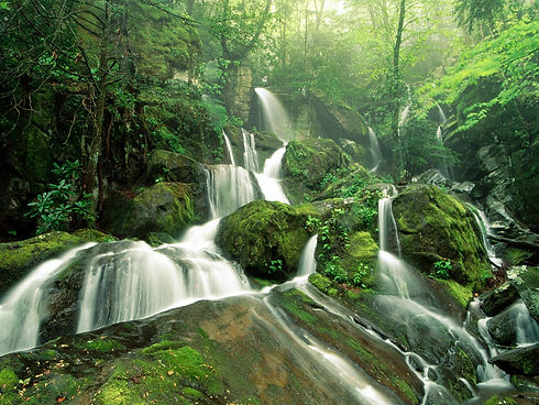 2018waterfall2.jpg