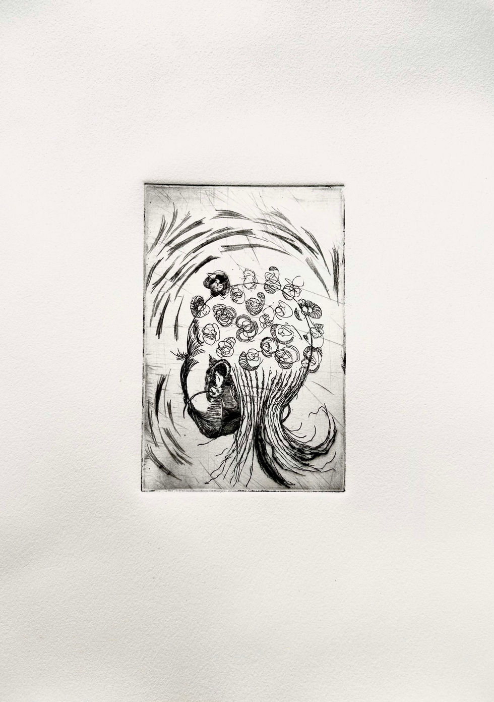 Bantu Knots n' Cornrows_Kelis George.jpg