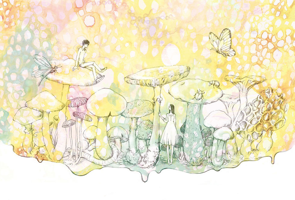 木の子の森