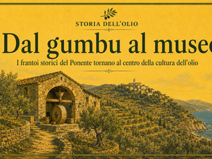 Dal gumbu al museo: perché i frantoi storici del Ponente stanno tornando al centro della cultura dell’olio