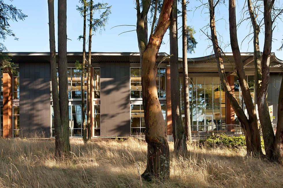 How Is ICE Really Affecting Us at Ingraham High School & How Can We Learn More About Our Rights?