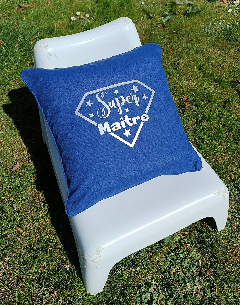 Miniature : Coussin maître 