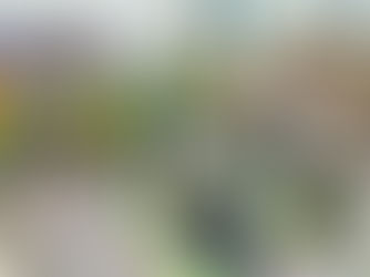 Preparing for Primary School the Right Way