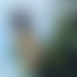 Why Small Hands Should Handle Big Responsibilities