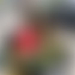 Small Responsibilities, Big Lessons