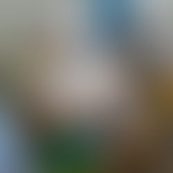 Emotional Intelligence Begins in Preschool