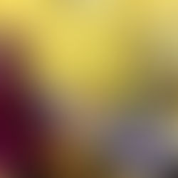 The Classroom That Feels Like Home