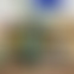 Life Skills Are the Foundation of Confidence