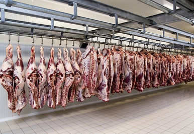 Slaughterhouse 1_1011.jpg