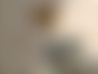 Mes plus récentes victoires sur Spoonflower