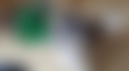 Wildes Tier im Garten.....