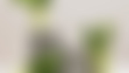 Iron and the Gut: Understanding the Digestive Link