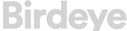 Birdeye Review Logo Icon