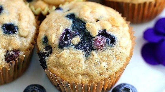 Gluten Free & Vegan Blueberry Muffins - 6 Pack