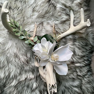 Magnolias