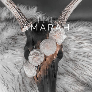 Amara