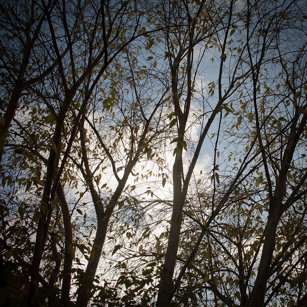 Witness (76 of 82).jpg