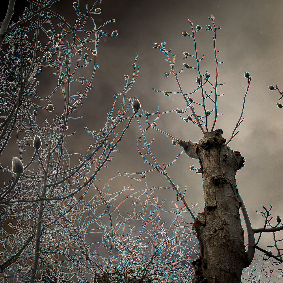 Witness (31 of 82).jpg