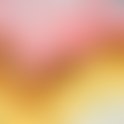 A soft buttery brioche bun, infused with juicy fruit pieces, topped with a delicious pink cream-cheese butter frosting and a sprinkle of coconut. Finished off with a decadent slab of soft New Zealand Butter and Maldon Sea Salt pillowed in between the buns.