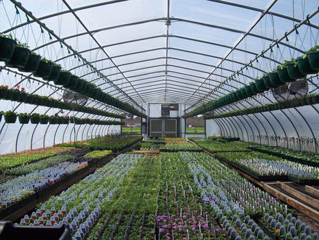 Greenhouse at Stoney Creek
