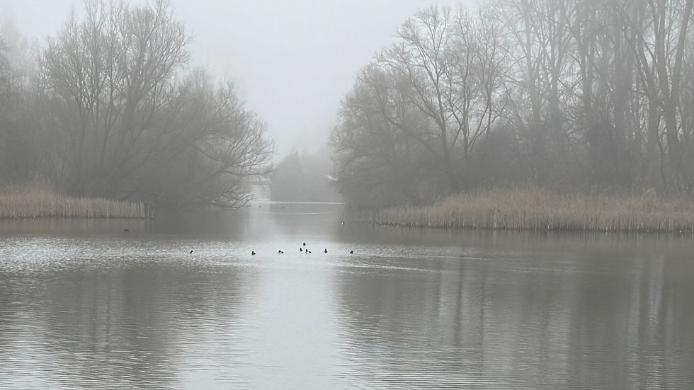 De magie van de winter
