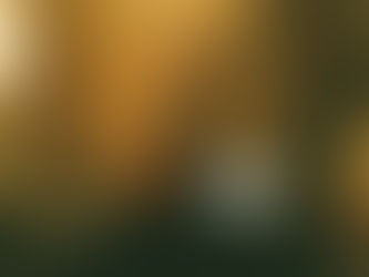 Young woman sitting at a desk writing on a laptop