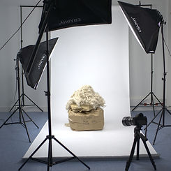 leplaidmerveilleux-shooting-toison-pirouette-pacha-panache.jpg