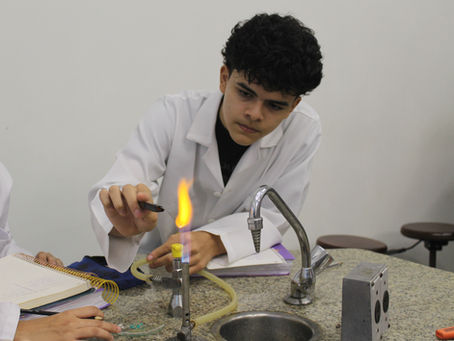 Ensino Médio: Ação e Desempenho