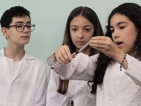 7º ao 9º Ano: O Ritmo da Maturidade e o Peso dos Conteúdos