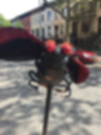 Lady Bug
