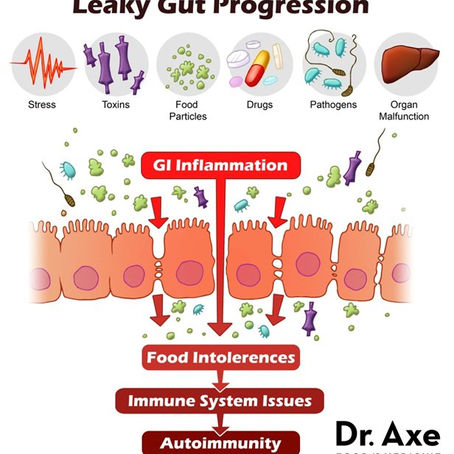 Licorice root to heal leaky Gut