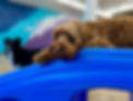 IMG_0756.jpeg