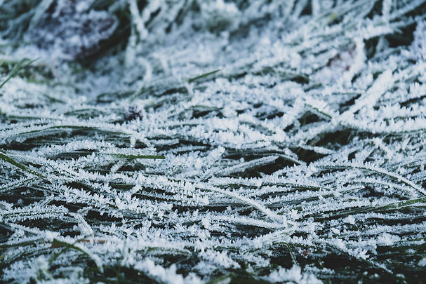 Stock Footage-28.jpg