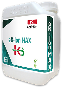 ECKLONIA90-ST#P#eK-Ion MAX.png