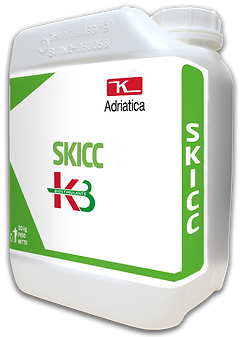 SKICC-ST#P#SKICC.png