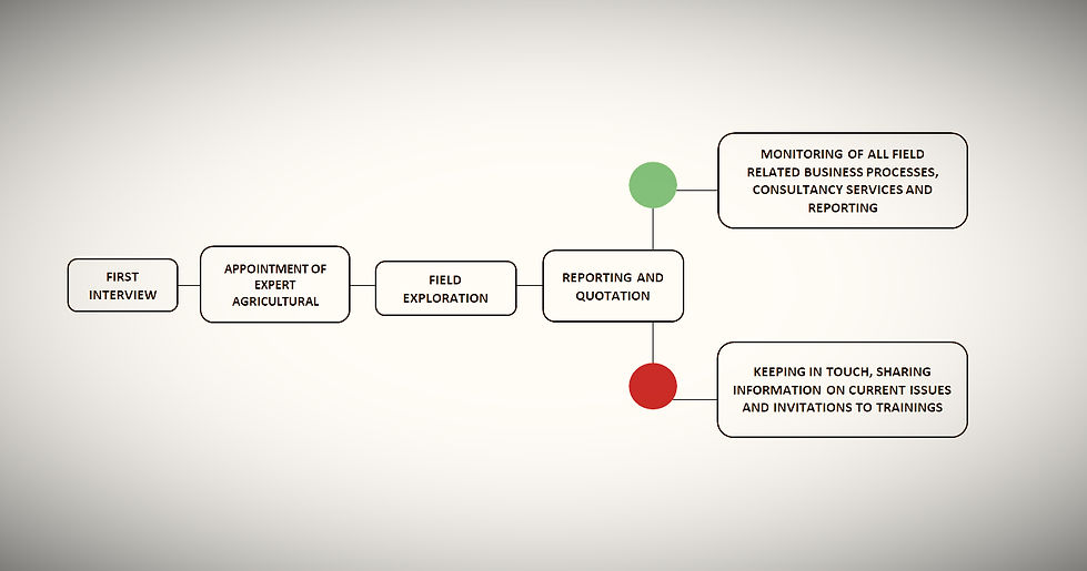 Businnes plannnn_edited.jpg