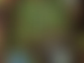 Magic Charly - Audrey Alwett