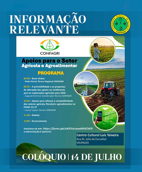 B-POST-Julho-2025-04.jpg