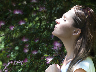 I AM GRATITUDE - DAY 4
