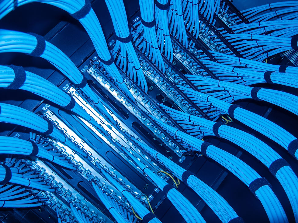 A close-up view of blue Ethernet cables neatly arranged in a network rack, showcasing the