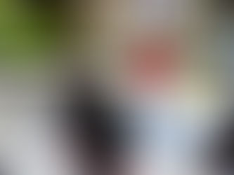 F4 - QUE POUVONS-NOUS APPRENDRE DU PARCOURS DE LOGAN THOMPSON? UN PARCOURS EXEMPLAIRE