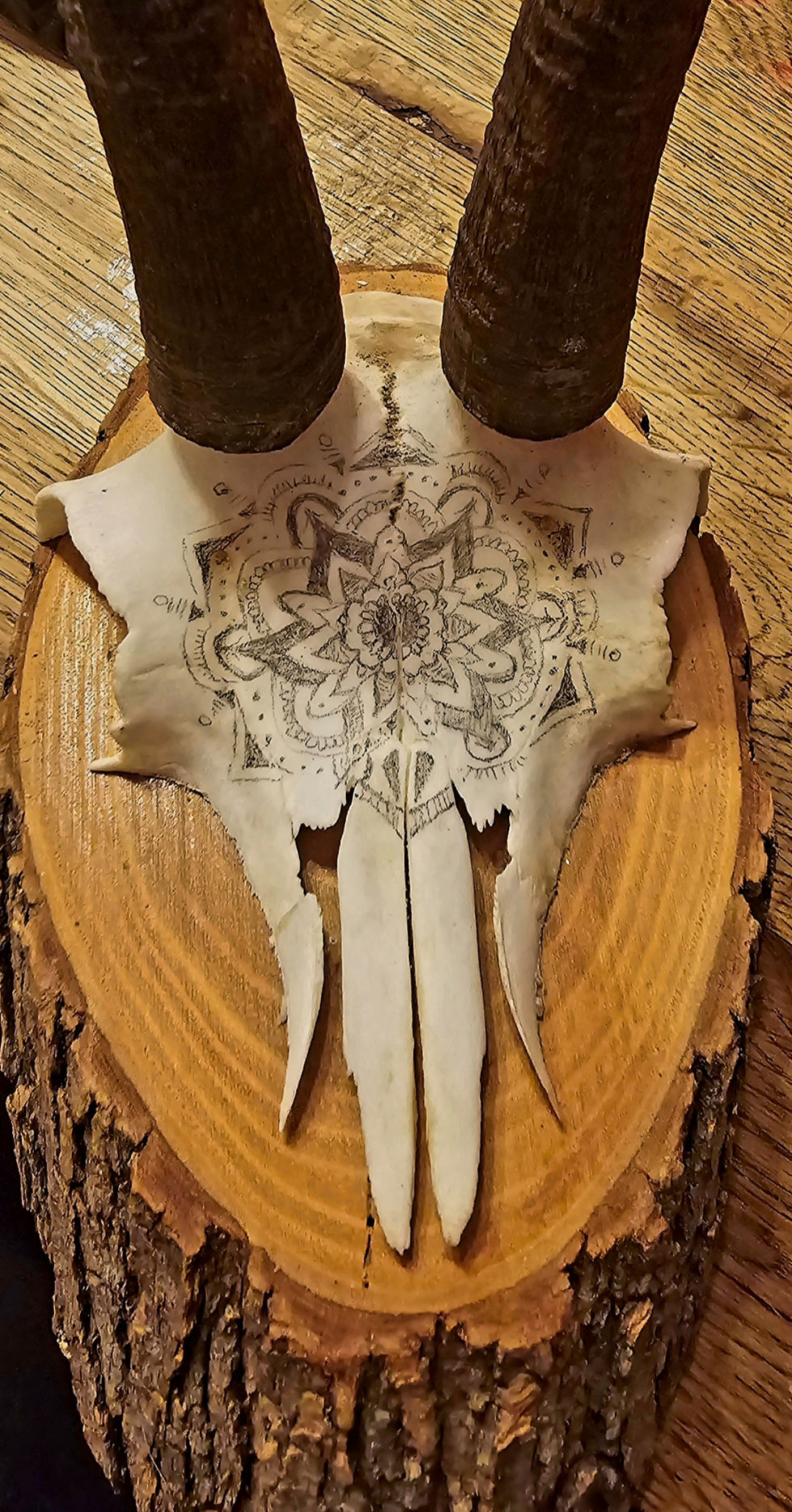 Miniaturbild: Mandala Skull