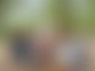 Séjour de la semaine à Combe longue : Copains et Cabanes