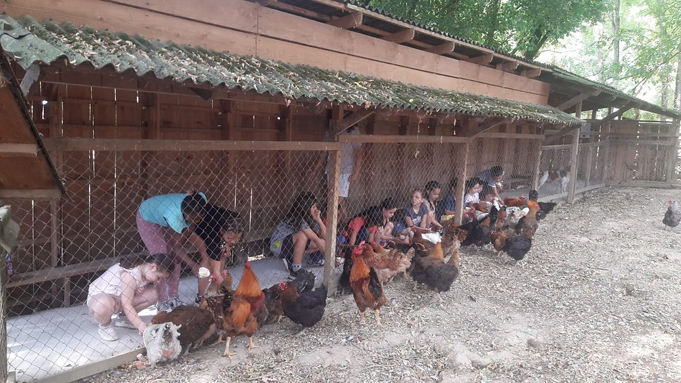 Les animaux, la ferme&toi jeudi 30/07