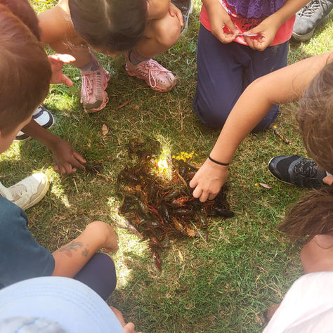 Les animaux, la ferme & toi ! : mercredi 29/07